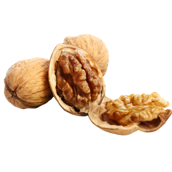 Walnut In Shell Organic Bulk Nuts Wholesale Premium Walnuts Raw Dry Fruits Walnuts Kernels For Sale From Vietnam Manufacturer 1