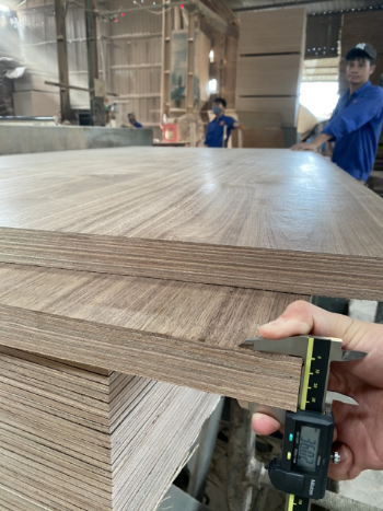 For Furniture Commercial Competitive Price Plywood 12mm 15mm 18mm Okoume/bi Best Seller Packaging Made In Vietnam Manufacturer