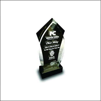 Acrylic Awards Trophy OEM Variety Of Sizes Custom Business Outstanding Gift Customized Packing Made in Vietnam Manufacturer 7