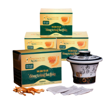 Ginseng And Cordyceps Tea Good Choose Good Health Agrimush Brand Iso Ocop Customized Packaging Made In Vietnam Manufacturer 4