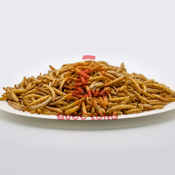 Dried Mealworms For Chickens Fast Delivery Export Animal Feed High Protein Customized Packaging Vietnam Manufacturer 5