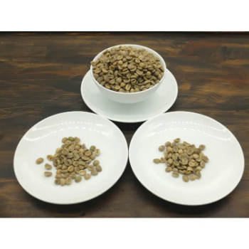 Arabica Natural L2 S18 Coffee Beans Arabica High Quality Using For Making Food And Beverage No Additives Vietnam Manufacturer