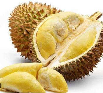 Fresh durian fruit High Specification tropical fruit using for food packing in carton made in Vietnam Manufacturer 6