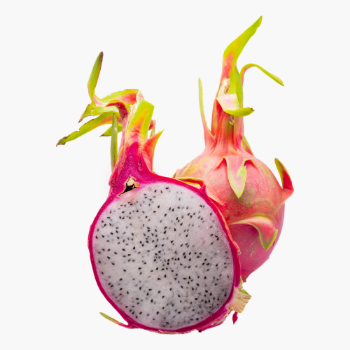 Newest Crop Hot Selling Natural Sweet Fresh Dragon Fruit From Phuc An Competitive Price Ready To Export Vietnam Manufacturer 7