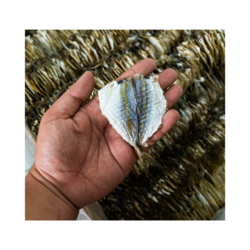 Dried Yellow Stripe Trevally Fish Dried Fish From Viet Nam Hot Selling Export Ly Huynh Tasty Vacuum Pack Vietnamese Manufacturer 2