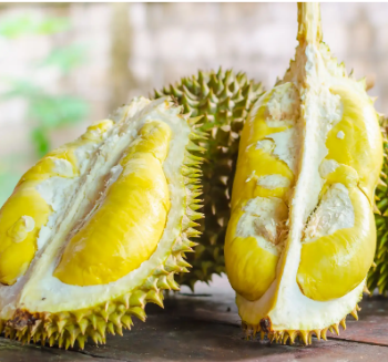 Durian Season in Vietnam - Fresh Durian Fruits for Sale Fresh Durian from Vietnam Quality Tropical Style GAP Weight Origin Type 6