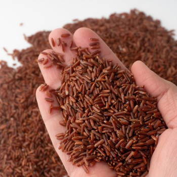 Brown Rice Red Rice Best Selling High Benefits Using For Food HALAL BRCGS HACCP ISO 22000 Certificate Vacuum Customized Packing 5