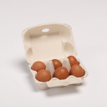 Customized effective paper pulp packaging inserts molding trays egg tray Eco-friendly Made From Vietnam 1