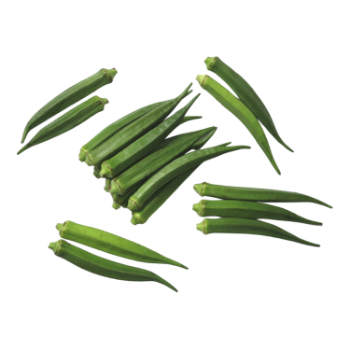 Fresh Okra OEM New Crop Using For Many purposes TCVN packing in carton Made in Vietnam Manufacturer 2