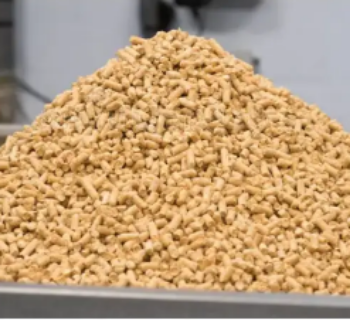 A1 A2 6MM 8MM High Quality Biomass Burners Bamboo Wood Pellet Wholesale Wood Pellets From VietNam Manufacturer 1