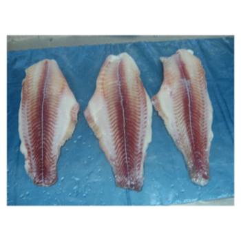 PANGASIUS Fish Fillet High Specification Nutritious For Cooking HACCP Certification Customer's Request Packing Vietnam 7