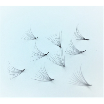 Thuy Ha Eyelashes Extension Mi FAN 10D C - CC-CC -D 005 007 MIX SIZE OEM ODM Service extension tool fan 4