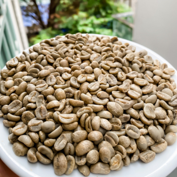 Green Arabica Coffee Beans Vietnamese High Quality Cheap Bulk 98% Maturity Arabica Coffee Bean Price For Sale 6