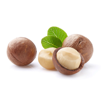 Premium Grade High Quality Macadamia Nuts With Shell Raw Organic Bulk Nuts Macadamia Nuts Wholesales From Vietnam Manufacturer 8