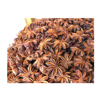 High Quality Autumn Dried Star Anise For Seasoning 100% Pure Star Anise High Quality Made In Vietnam Manufacturer 1