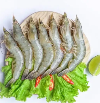 White Shrimp Professional Team Export Seafood Fresh Vaccum Customized Service Packaging Made In Vietnam Trading Frozen 4