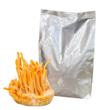 Dried Cordyceps Hot Selling Cultivated Agrimush Brand Ocop Iso Beat With Air Bag From Vietnam Company 8