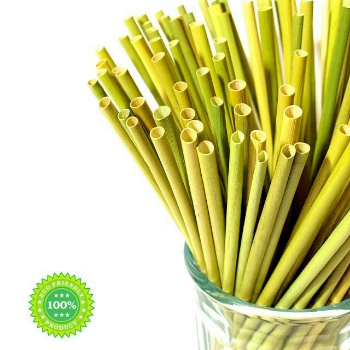 Wholesale grass straws eco-friendly straws Dried eagle grass straws 15cm from Vietnam 1