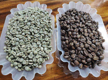 Premium Quality Roasted Arabica Coffee Honey Natural Beans Super Quality Green Coffee Bean From Vietnam Export Worldwide