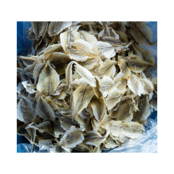 Viet Nam Dry Fish Yellow Croaker Fish Good Quality Export Ly Huynh Tasty Vacuum Pack Made In Vietnam Manufacturer 4