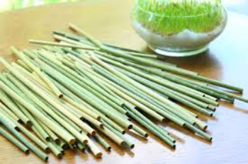 Wholesale from Vietnam 100% organic natural organic eco-friendly Disposable grass straws - 25cm hay straws 3