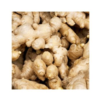 Hot Item Fresh Ginger 100% Natural Organic Good For Health Packed In Box Made In Vietnam Manufacturer 5