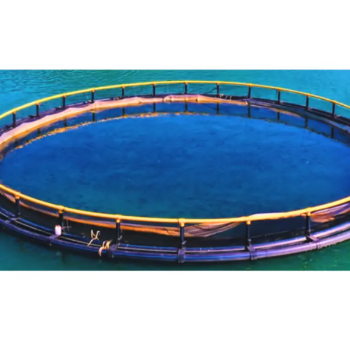 Hdpe Fish Cage Bracket Cheap Price Durable Aquaculture And Seafood Farms Floating Round Cage Custom Designs Vietnam Manufacturer 4