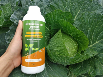 Composite Plant Growth Factory Price Salicylic Acid 1000ML Agriculture Biological Fertilizer Boxes Vietnam Manufacturer 8