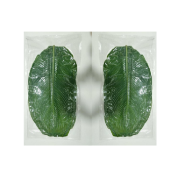 Fresh Banana Leaf For Food Stuff Replace To Plastic Bag Eco Friendly Wrapping Food Biodegradable Supplier New Crop Bulk Vietnam 3