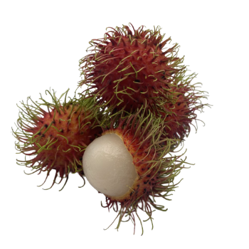 Fresh Rambutan Healthy 100% Organic Fast Delivery Wholesales Fresh Carton Box Vietnamese Manufacturer 1