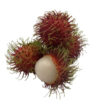 Fresh Rambutan Healthy 100% Organic Fast Delivery Wholesales Fresh Carton Box Vietnamese Manufacturer