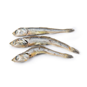 Hot Selling Dried Anchovy Fish For Exporting Factory Professional Production Bulk Dried Small Fish From Wholesale Market 1