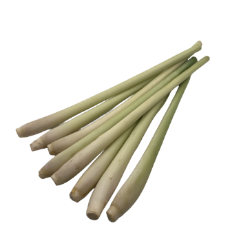 High Quality Lemongrass with HACCP Grass Best Price From VietNam Certificate Free Tax - Spices and Herbs Lemon 2