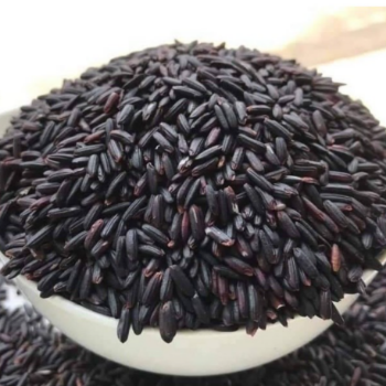 Vietnam Dragon Blood Rice Brown Rice Good Price High Dietary Benefits Using For Food HALAL BRCGS HACCP ISO 22000 Certification 4