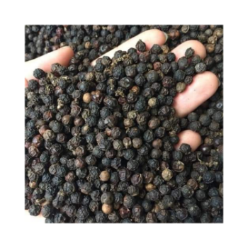 Hot Selling Black Pepper Good Price Good Quality Use For Cooking Wholesale Price Customized Packaging Made In Vietnam 4