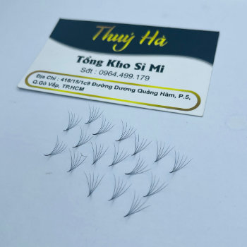 Thuy Ha Eyelashes Extension MI VOLUME 5D FAN 5D 500 fans OEM ODM Service extension tool fan  5