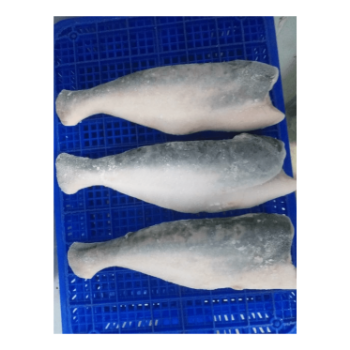 Pangasius HGT Wholesale Nature Used For Cooking HACCP Certification Customized Packing Made In Vietnam Manufacturer 2