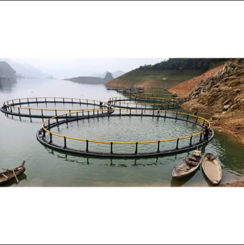 Hdpe Fish Cage Cheap Price Secure Aquaculture And Seafood Farms New Style Customization Producer Made In Vietnam Manufacturer 3