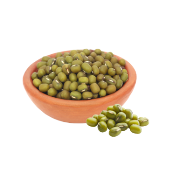 Wholesale Mung Beans Bean  Cheap Price  Nutritious Food For Cooking Vinagreen Carton Box Plastic Wrap Vietnam Bulk