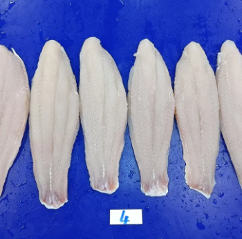 Fast Delivery Frozen Pangasius No Skin IQF Pangasius Headless Whole with High Standard For Export Vietnam Supplier 100% Fresh Fish 5