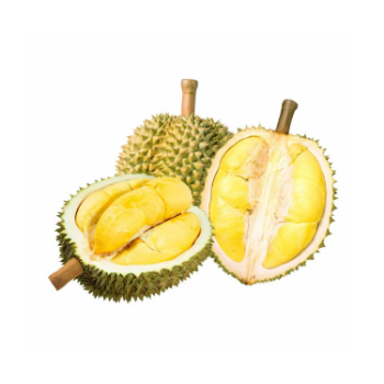 Special Item Fresh Durian Ri6 Eat Directly Sweet And Fatty Taste Organic Packed In Box From Vietnam Manufacturer 1