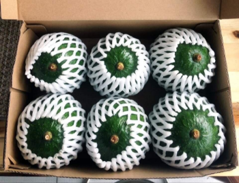 Best Quality Fast Delivery Best Supplier Of Organic Fresh Avocado Avocado Fruit Healthy From Vietnamese manufacturer 8