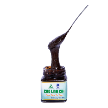 Top sale glue extracted from reishi mushroom & cordyceps ISO using for drink the export products of vietnam 1