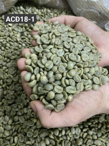 Arabica Raw Coffee Beans High Quality Raw Drinkable ISO220002018 60 kg/jute bag Made in Vietnam Manufacturer 5