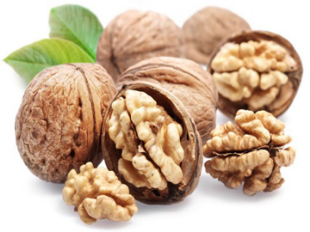 Organic Bulk Nuts Wholesale Premium Walnuts Raw Walnut In Shell Dry Fruits Walnuts Kernels For Sale From Vietnam Manufacturer 6