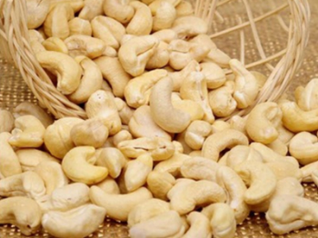 Cashew Nuts W180 From Viet Nam Good Price Organic Nuts Natural Flavor Fresh Cashew Packaging Carton & Vacuum PE From Vietnam