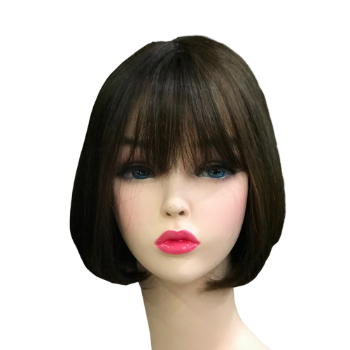 Hot Selling Lace Wig Frontal Wig 100% Human Hair Density Lace Front Wig High Quality 100% Human Vietnamese Hair 1