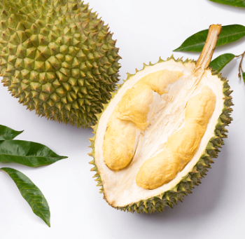 Wholesale Sweet savory and creamy taste strong smell Brix 20% Ri 6 Fresh Durian from Vietnam 5