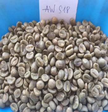 Robusta Green Bean Low MOQ Export Food High Protein Customized Packaging Made In Vietnam Trading 4