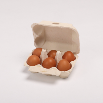 Customized effective paper pulp packaging inserts molding trays egg tray Eco-friendly Made From Vietnam 3